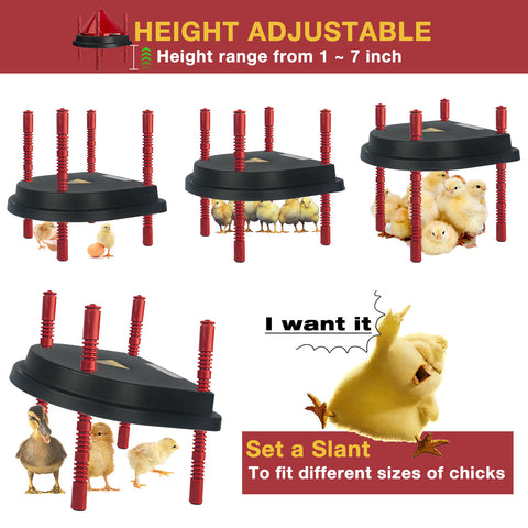 Hantop Chick Brooder Heating Plate with Comfort Feather - 13 Watts